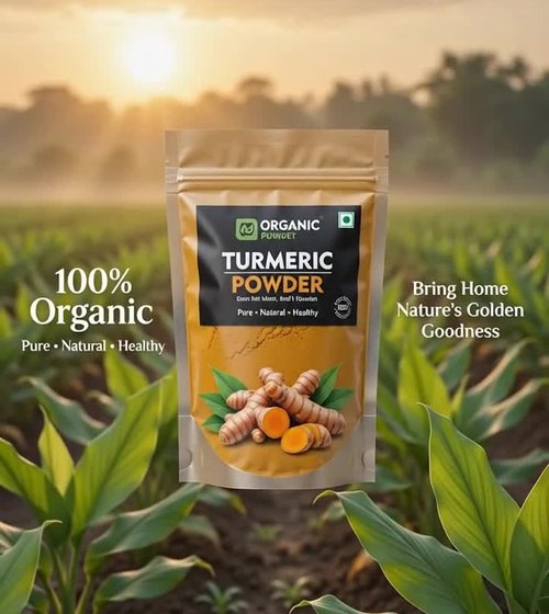 Organic Journey turmeric powder pouch with a 100% organic, pure and natural label
